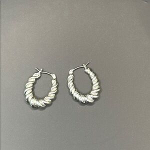 Banana Republic Silver Twisted Hoop Earrings